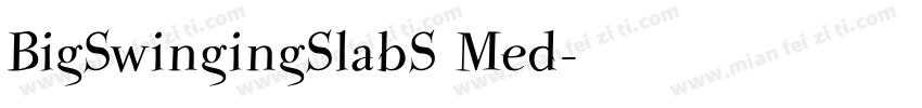 BigSwingingSlabS Med字体转换